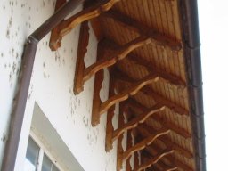 11057253_1078595402161990_5696219878318342531_n